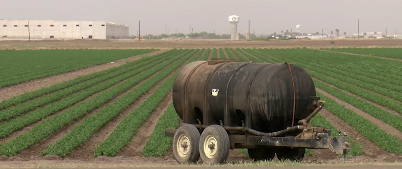 agricultores agricultores